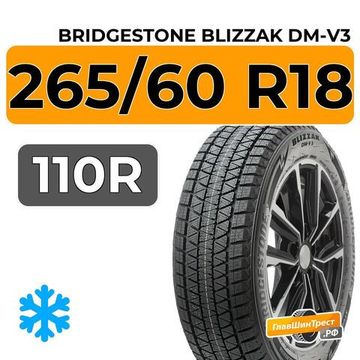 Bridgestone Blizzak DM-V3 265/60 R18 110R
