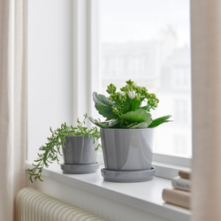 IKEA KALANCHOE  (ИКЕА КАЛАНСХОЕ)  -  Растение в горшке - Каланхоэ разные цвета 10,5 см