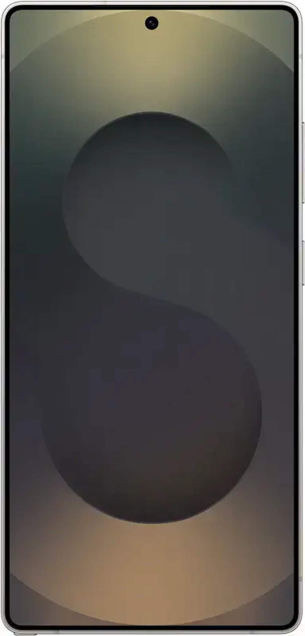 Samsung Galaxy S25 Ultra 12/256GB Titanium Black (Черный)