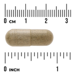 Swanson Vitamins, Эхинацея, 400 мг, 180 капсул