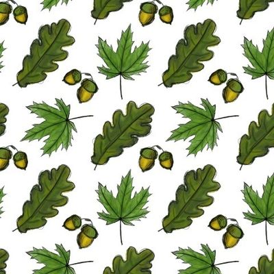 Зеленые дуб и клен 🍁