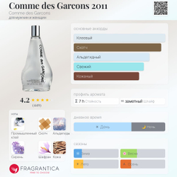 Comme Des Garcons Comme Des Garcons 2011