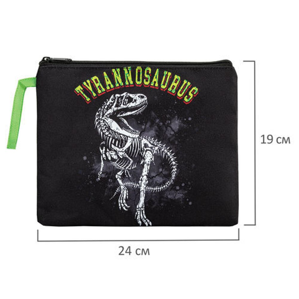 Папка для тетрадей BRAUBERG А5, 1 отделение, полиэстер, на молнии, с ручкой, "Tyrannosaur", 272203