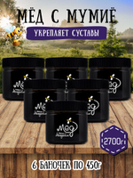 Мёд натуральный с мумие набор (6 банки по 450 г), 2700 г