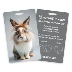 Карта Москвёнок BUNNY №6 (проход + питание)