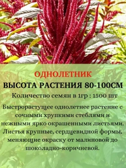 Семена Амарант Красный 10 грамм