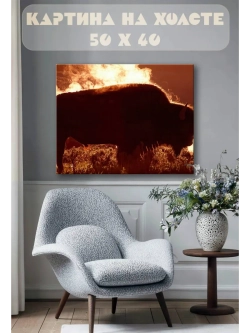 Картина на стену 40 X 50 Зубр