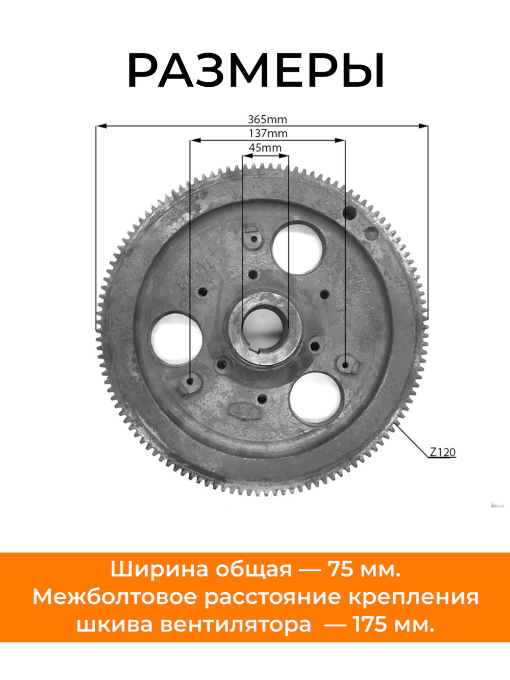 B137-1-190N-RT (2)
