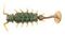 Виброхвосты съедобные LJ Pro Series ALIEN BUG 1,5in (3,81 см), цв. 085, 10 шт.