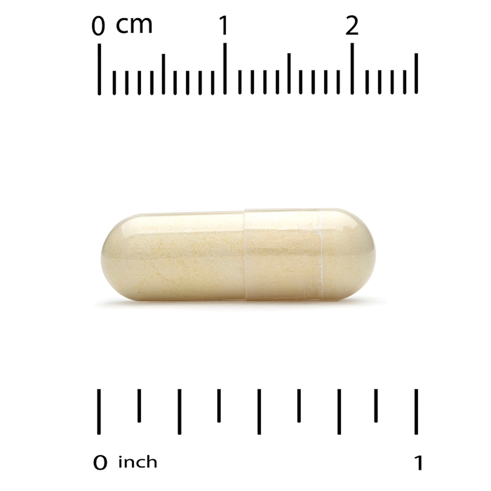 California Gold Nutrition, новозеландские зелёные мидии с экстрактом имбиря, 500 мг, 240 растительных капсул