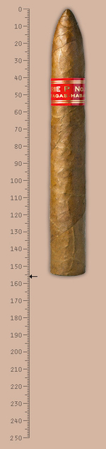 Partagas Serie P №2