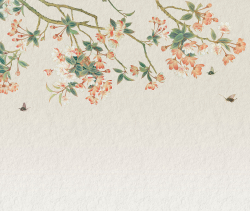 Коллекция Chinoiserie