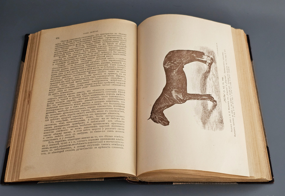 "Книга о лошади. Настольная книга для каждого коннозаводчика, коневода, коневладельца и любителя лошади". С.П. Урусов. 1902г. - раритет