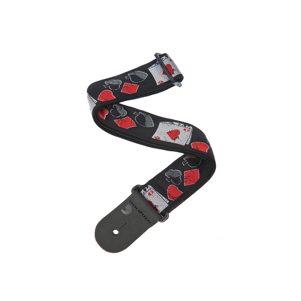 D'ADDARIO 50D01