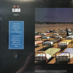 Pink Floyd / A Momentary Lapse Of Reason (LP)