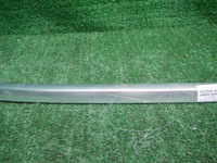 DSCN6355.JPG