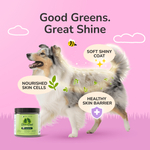 Kin+Kind, Skin + шерсти, суперзелень для собак и кошек, 113,4 г (4 унции)