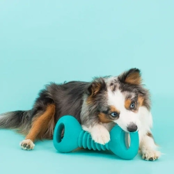 Гантель ZippyTuff Squeakerz 25 cм ZippyPaws