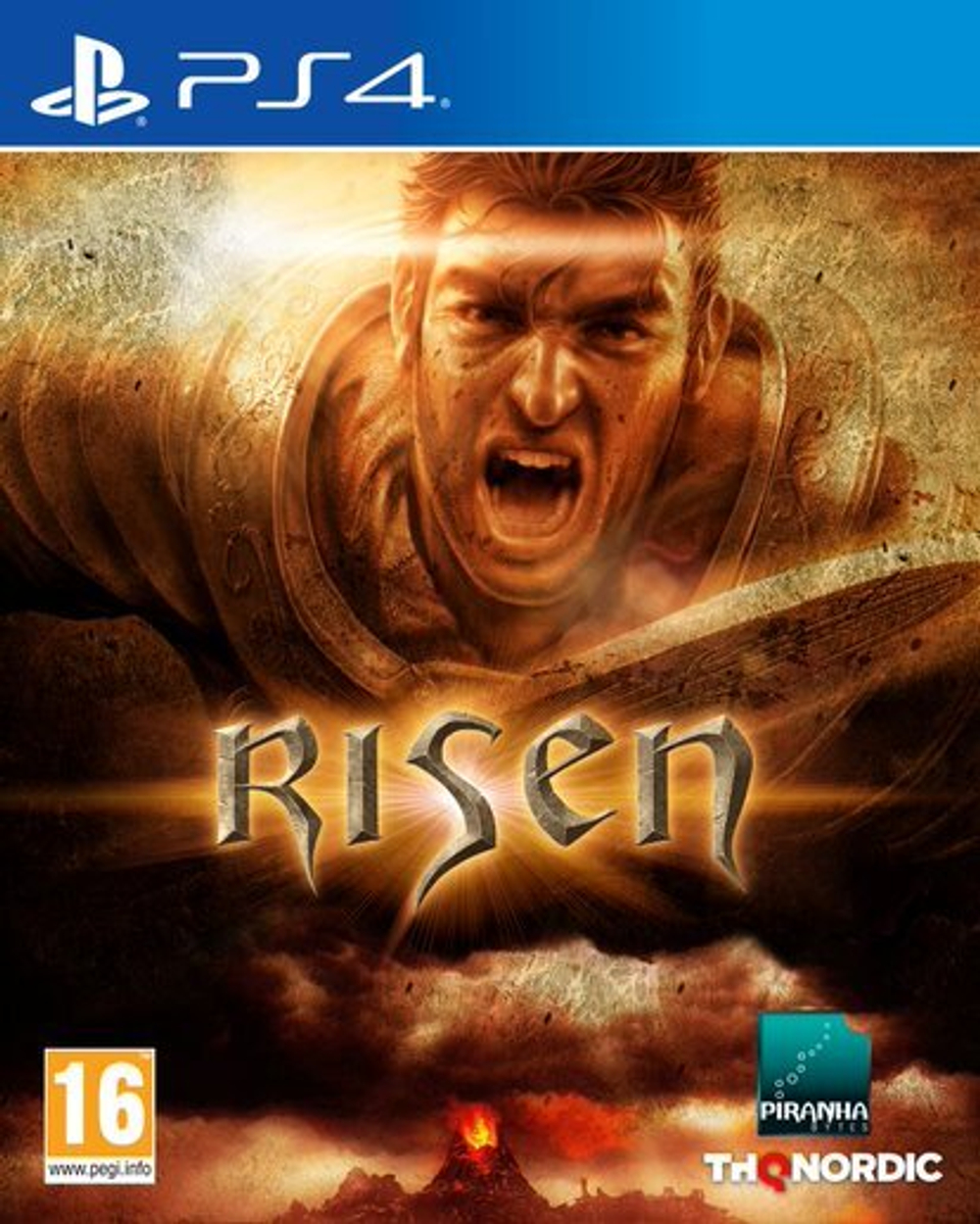 Risen (диск для PS4, полностью на русском языке)
