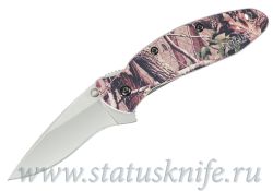 Нож Kershaw 1620C Scallionфотография - 2
