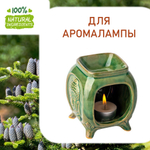 Пихтовый лес, отдушка для свечей и мыла