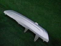 DSCN0917.JPG