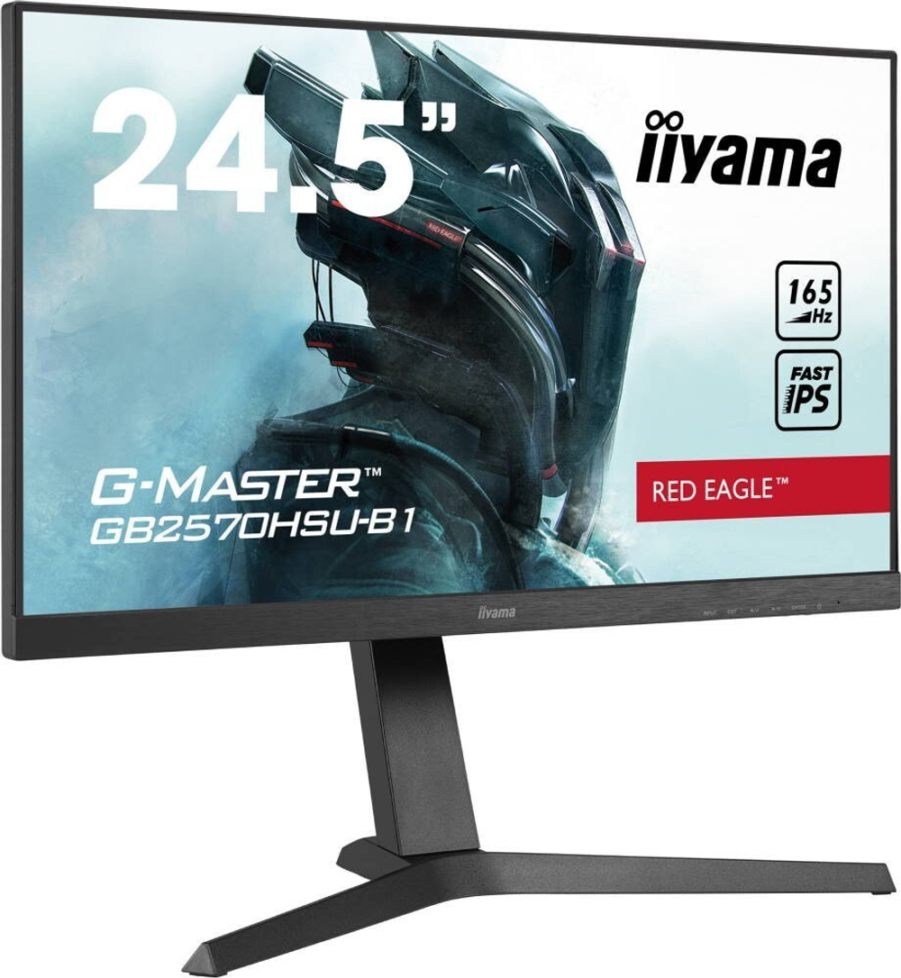 Монитор LCD 24.5'' Iiyama GB2570HSU-B1 Black