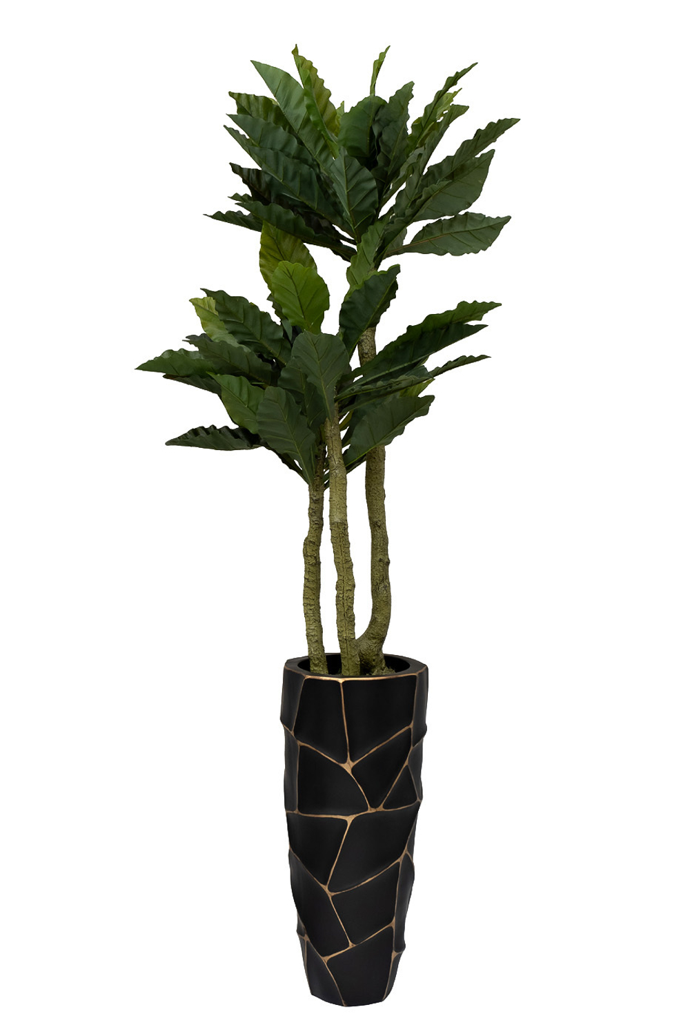 Папоротник гнездовой в горшке 150см Garda Decor