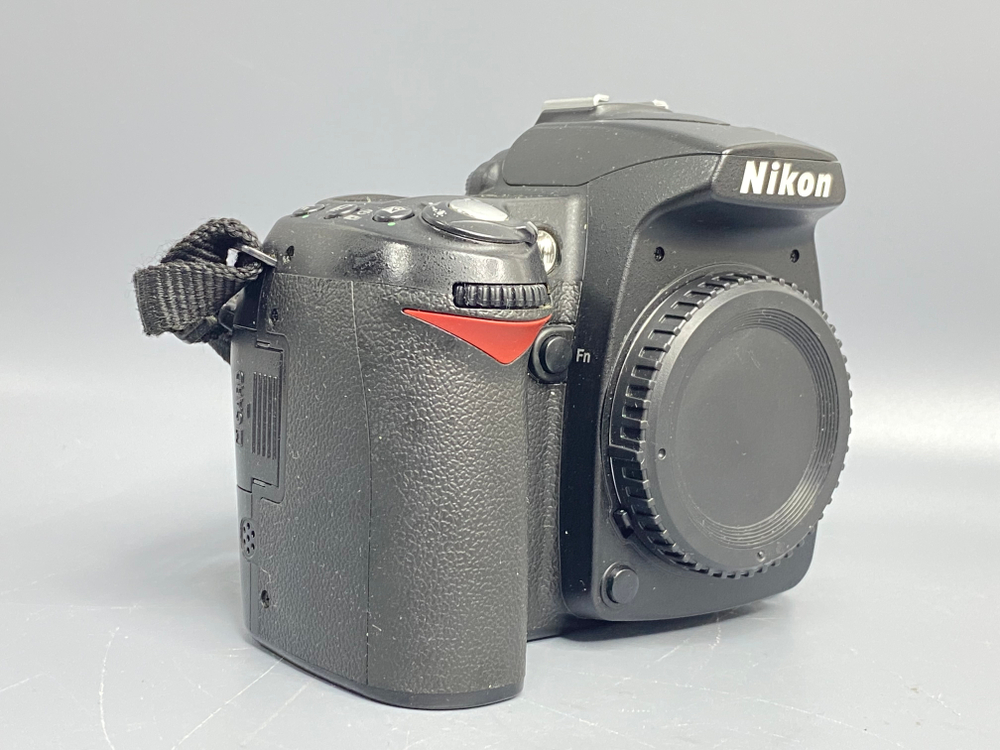 Nikon D90 100.000 кадров