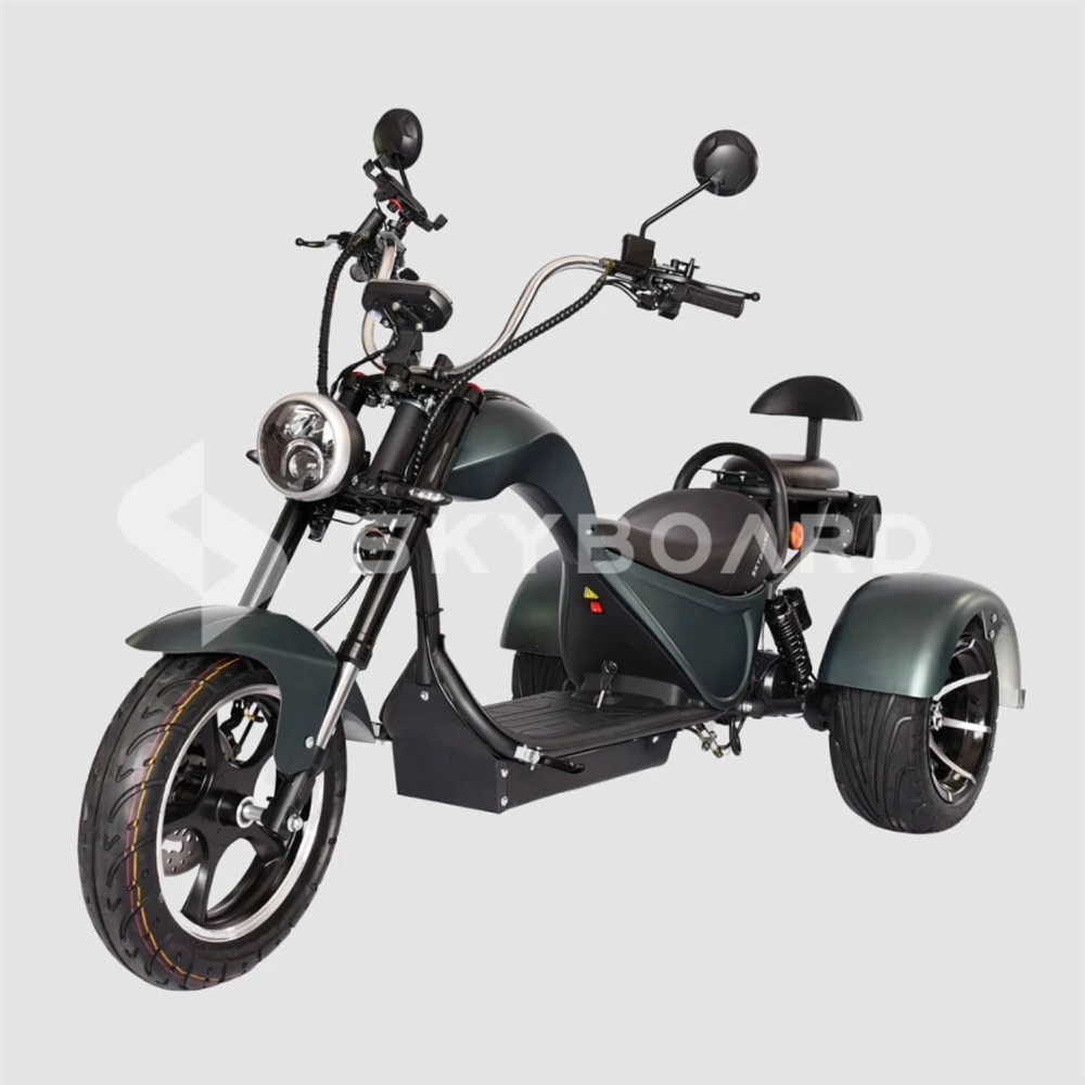 Электроскутер CityCoco SKYBOARD TRIKE CHOPPER-4000 PRO FAST Trike