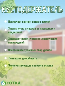 Кустодержатель для смородины, крыжовника и цветов 60*60*75