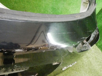 DSCN9496.jpg