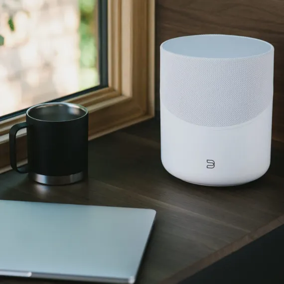Bluesound Pulse M White