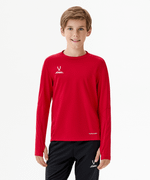 Джемпер тренировочный DIVISION PerFormDRY Pro Training Top, красный