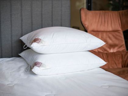 Подушка шелковая 50х70 German Grass Люксер (Luxury Silk)