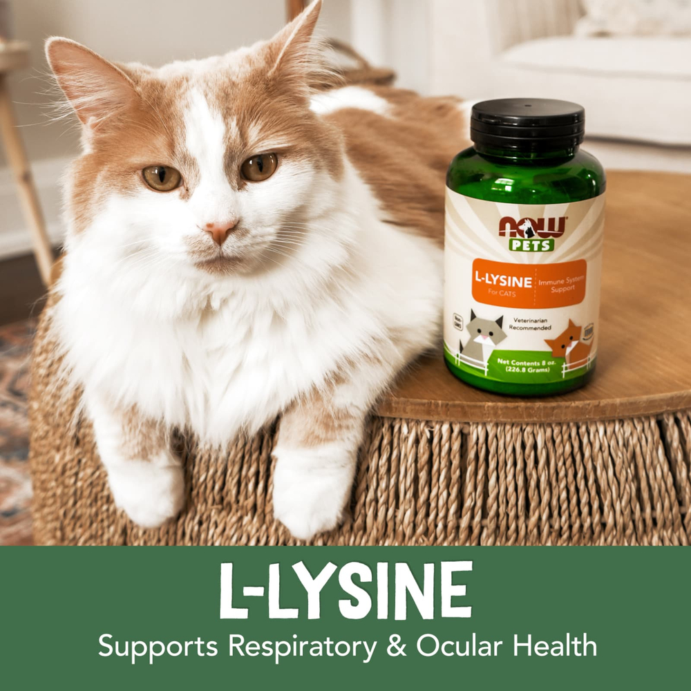 NOW Foods, Now Pets, L-лизин для кошек, 226,8 г (8 унций)