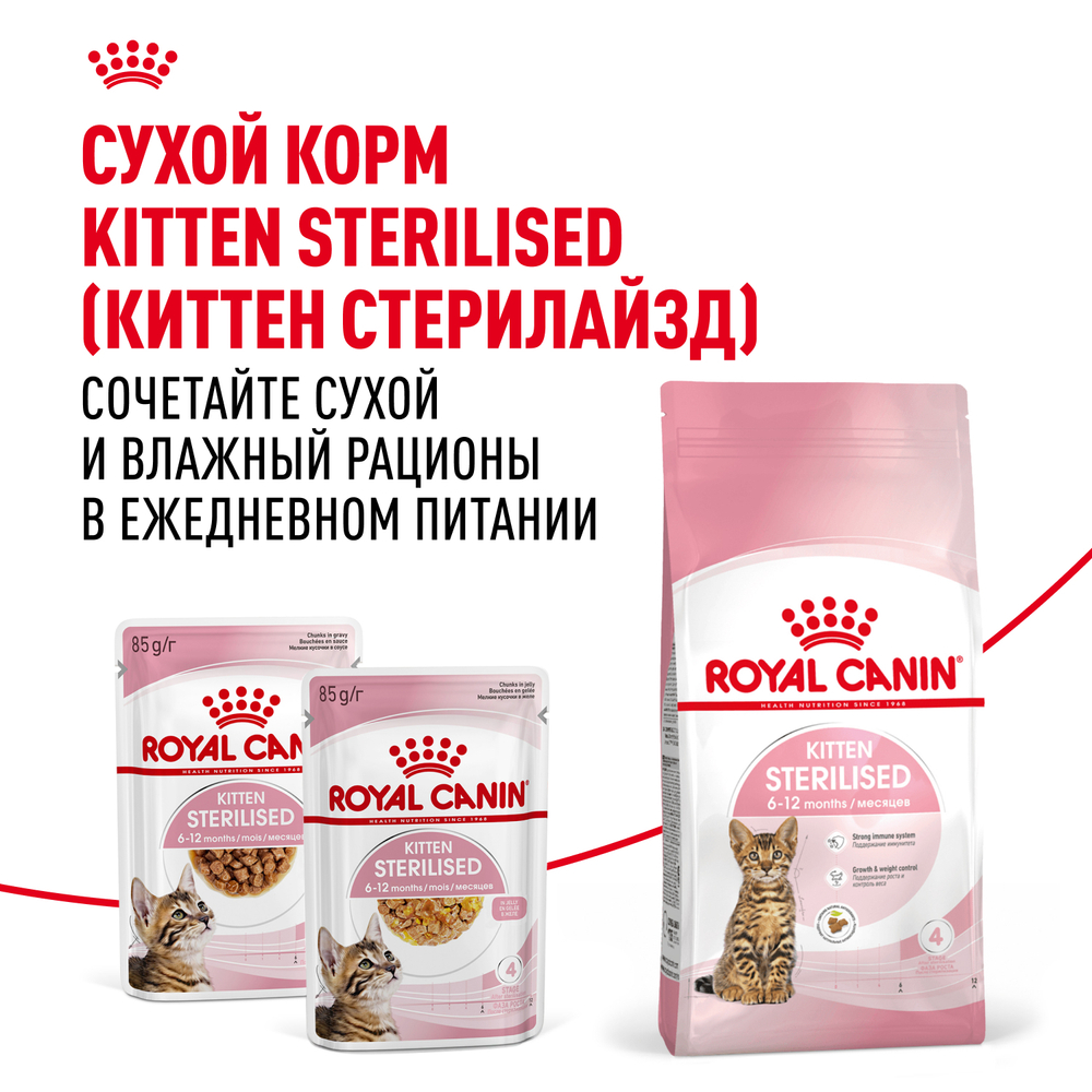 Корм консервированный ROYAL CANIN полнорационный для кастрированных и стерилизованных котят KITTEN STERILISED (КИТТЕН СТЕРИЛАЙЗД), мелкие кусочки в соусе - 85 гр
