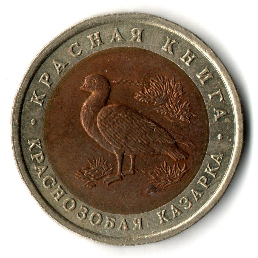 10 рублей 1992 года Краснозобая казарка серия Красная книга СССР VF