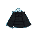 Куртка The North Face Jacket, NF0A5J1J-9C1