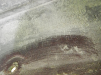 DSCN9468.JPG