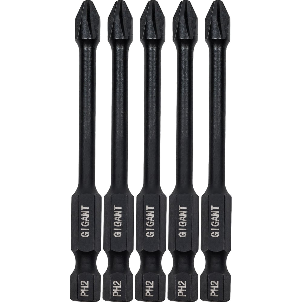 Торсионные биты PH2, 70 мм, 5 шт, S2 Gigant GBM TR5270