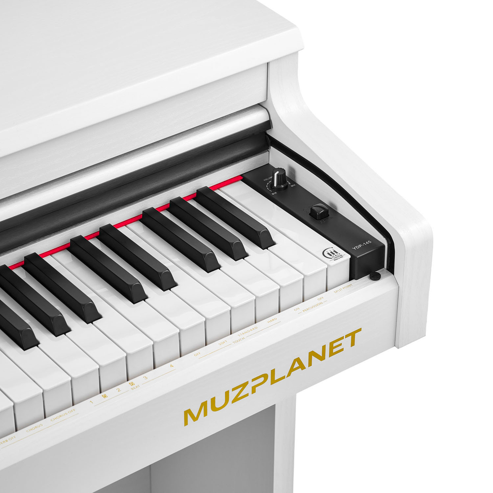 MUZPLANET YDP‑145