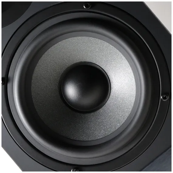 Radiotehnika S-20NA Black Ash