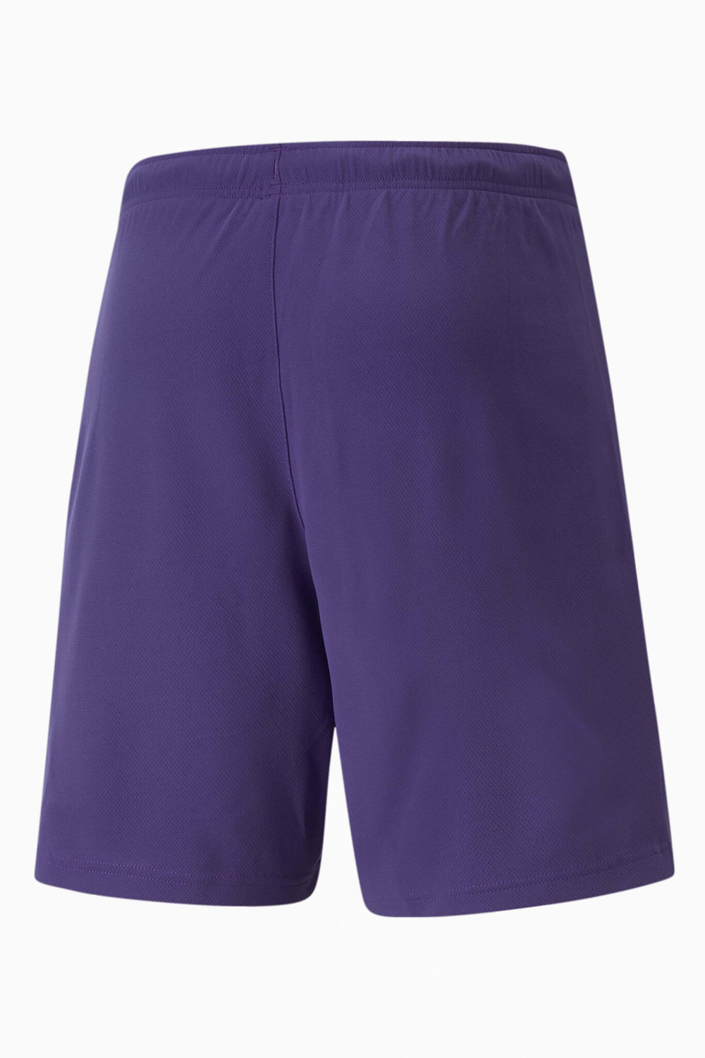 Шорты Puma teamRISE