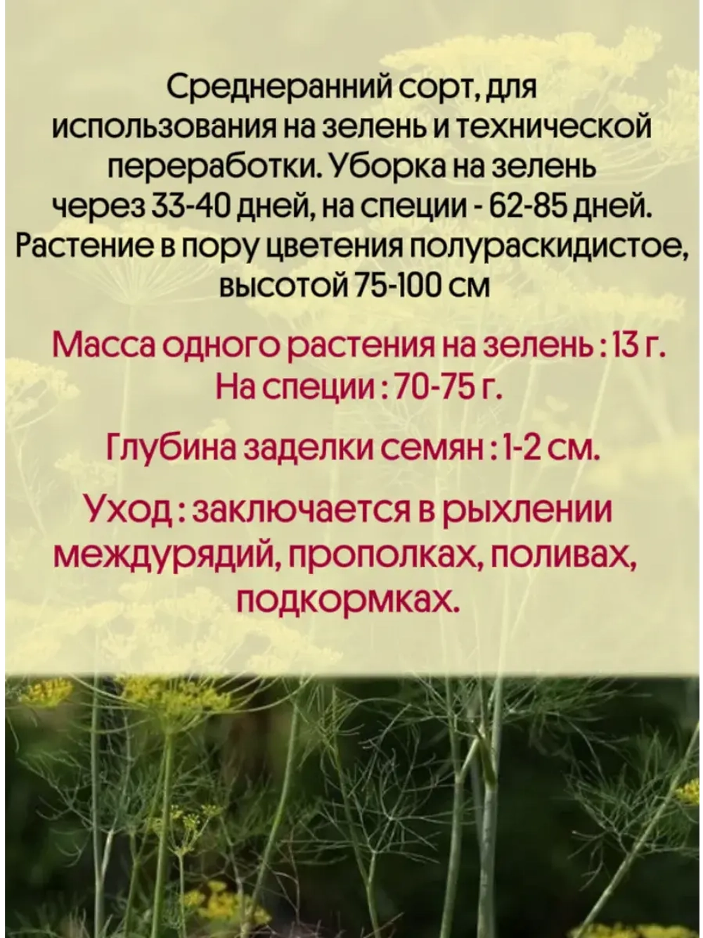 Укроп Зонтик 50 гр