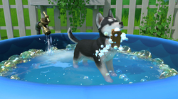 Little Friends: Puppy Island (для ПК, цифровой код доступа)
