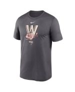 Футболка Nike Dry Fit WSH, серая