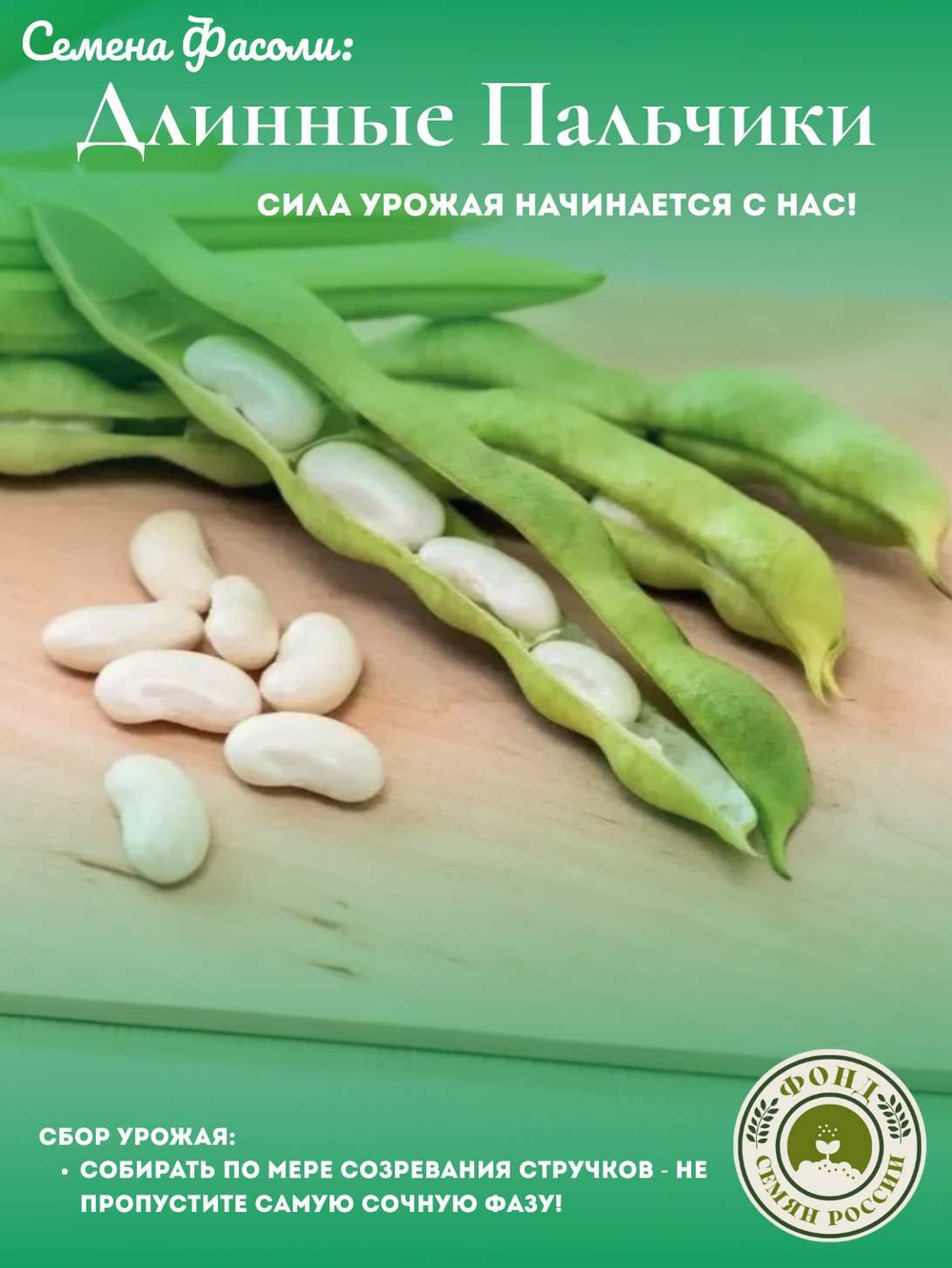 Горох Овощной, Все фиолетово, семена, 10 гр.