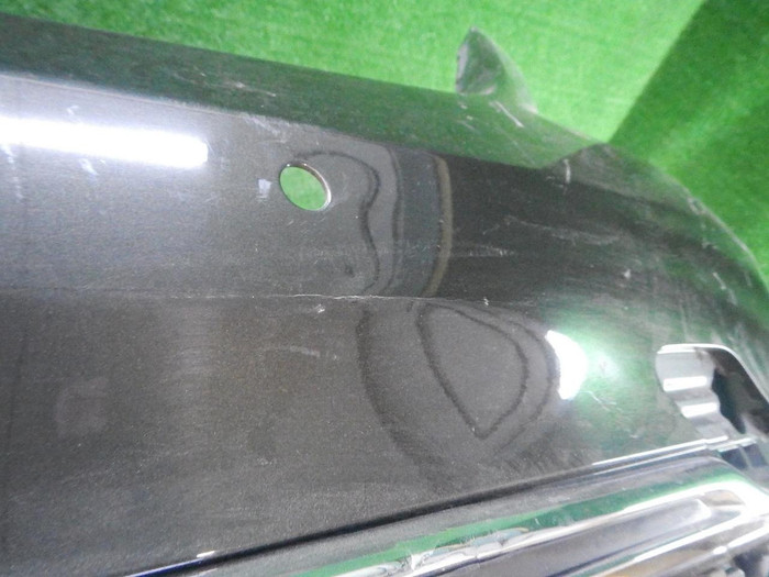 DSCN5288.JPG