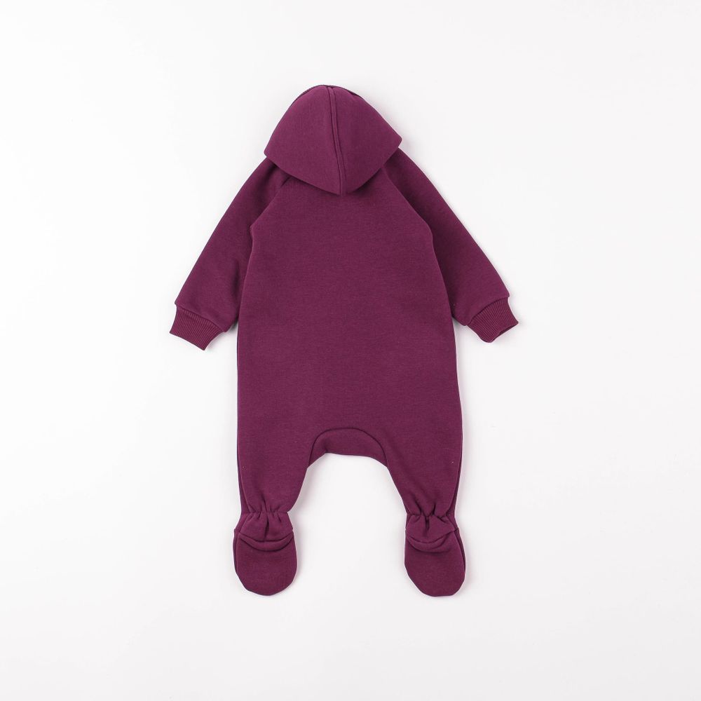 Комбинезон с капюшоном "Слива" утепленный 0-3 м